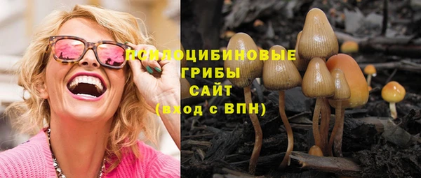 ПСИЛОЦИБИНОВЫЕ ГРИБЫ Белокуриха