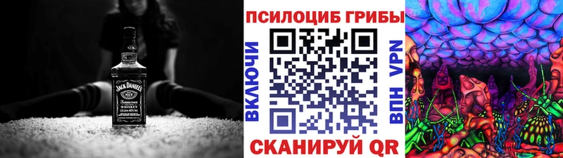 hydra зеркало  Первомайск  Галлюциногенные грибы Cubensis  как найти наркотики 